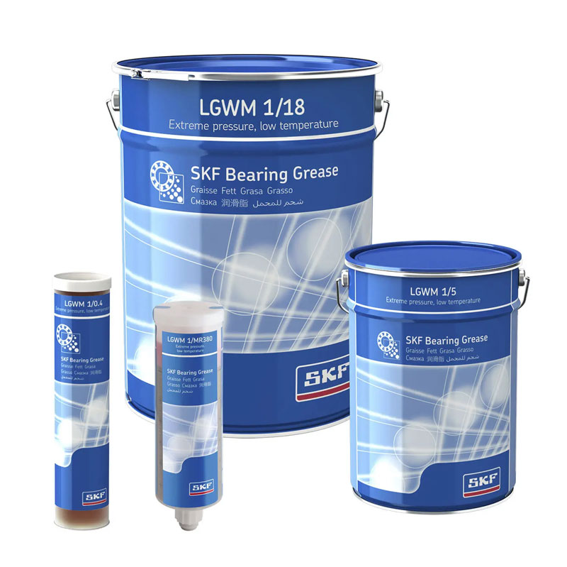 skf lgwm1
